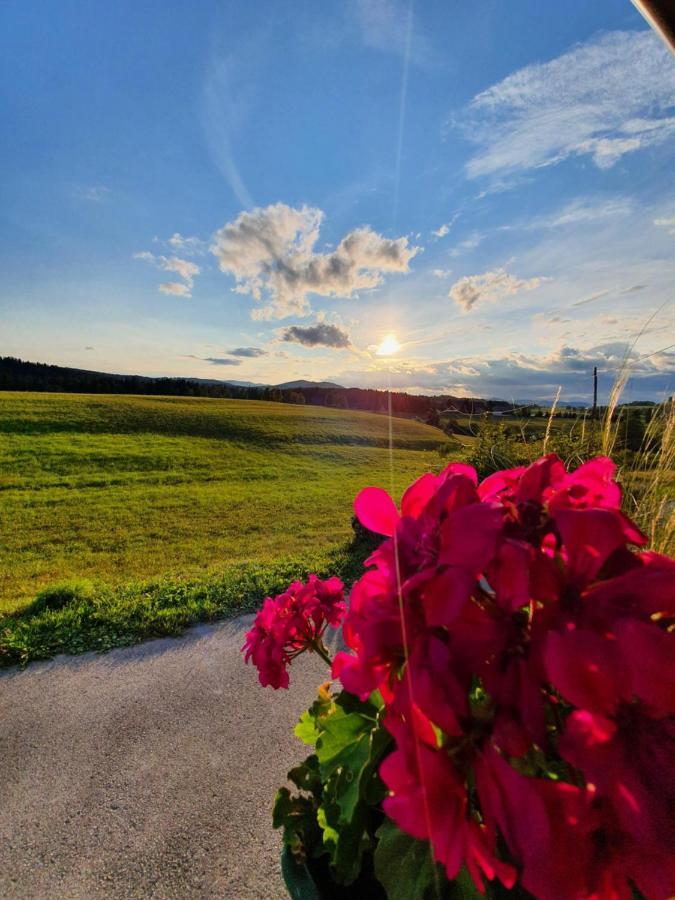 Apartma Sveti Duh Nova Vas  Exterior foto