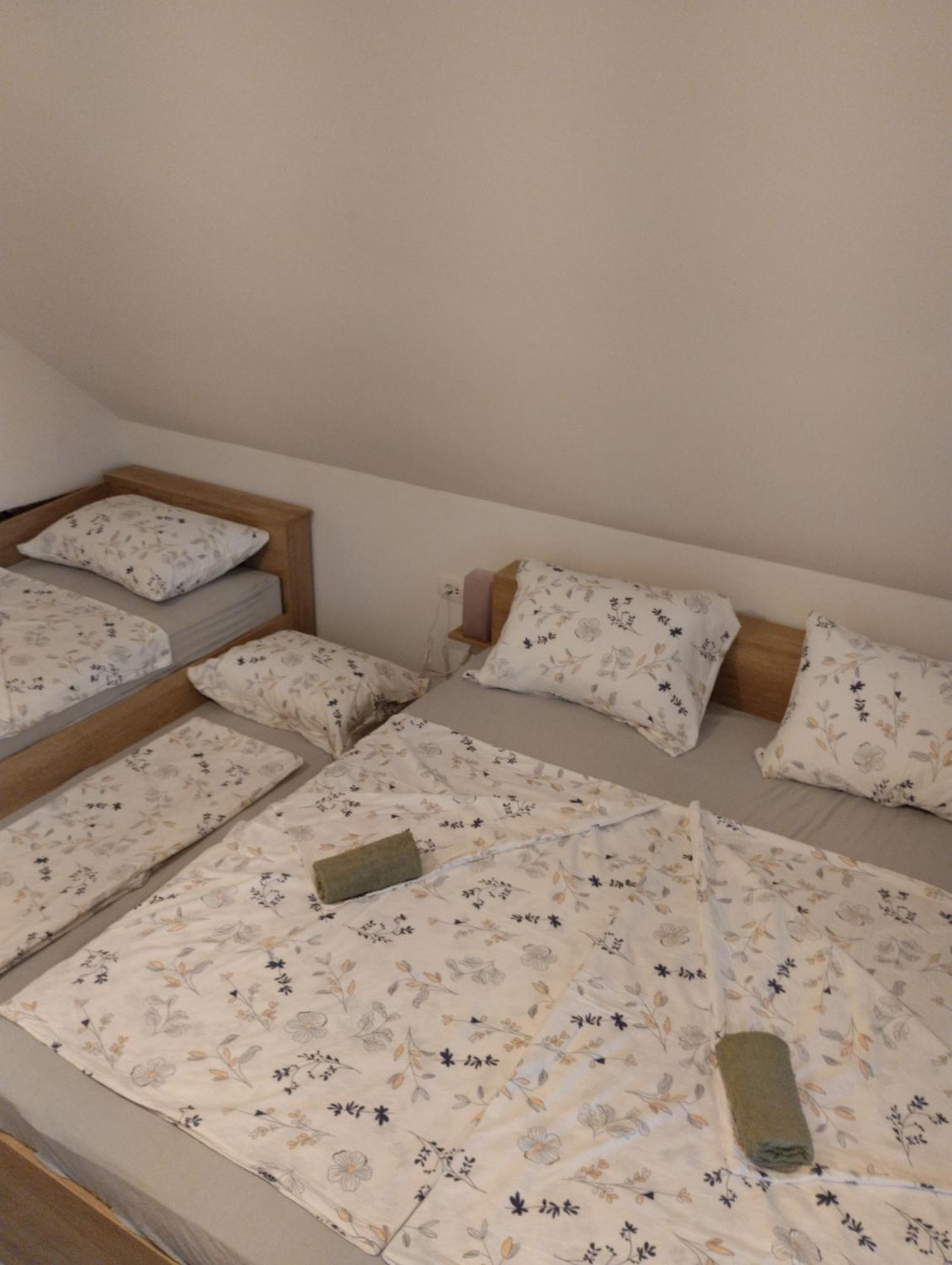 Apartma Sveti Duh Nova Vas  Exterior foto