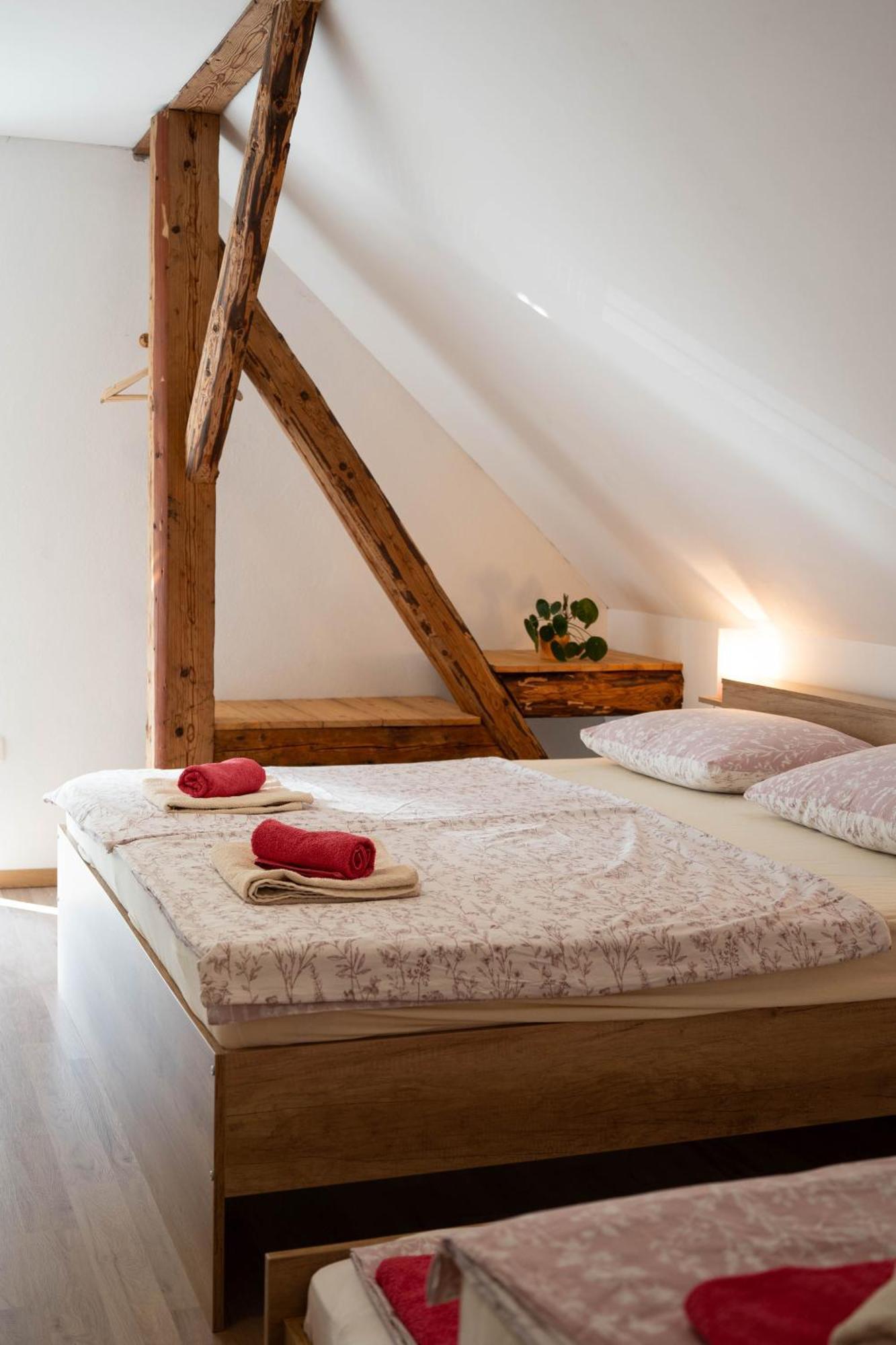 Apartma Sveti Duh Nova Vas  Quarto foto