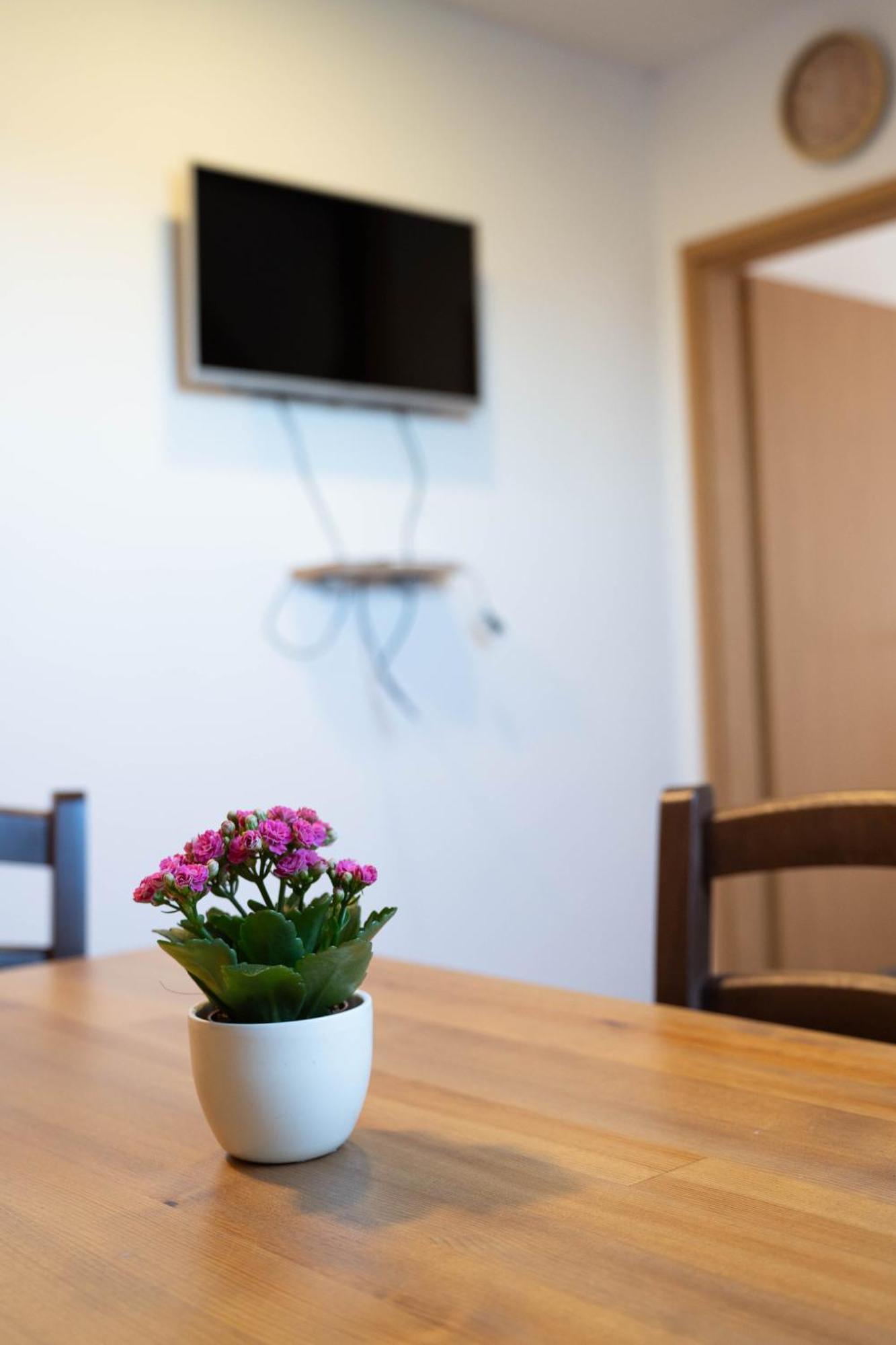 Apartma Sveti Duh Nova Vas  Quarto foto